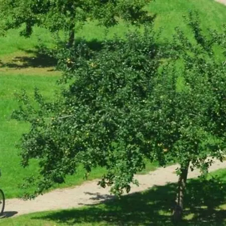 Campsite 4 Etoiles - Piscine - Ccab0ea *