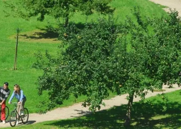 Campsite 4 Etoiles - Piscine - Ccab0ea Jumieges